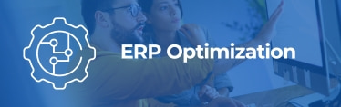 ERP Optimization