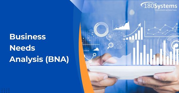 What does BNA stand for BNA means ERP Consultants